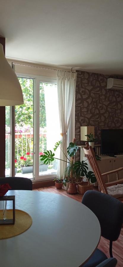 Branysol Apartman نوفي ساد المظهر الخارجي الصورة
