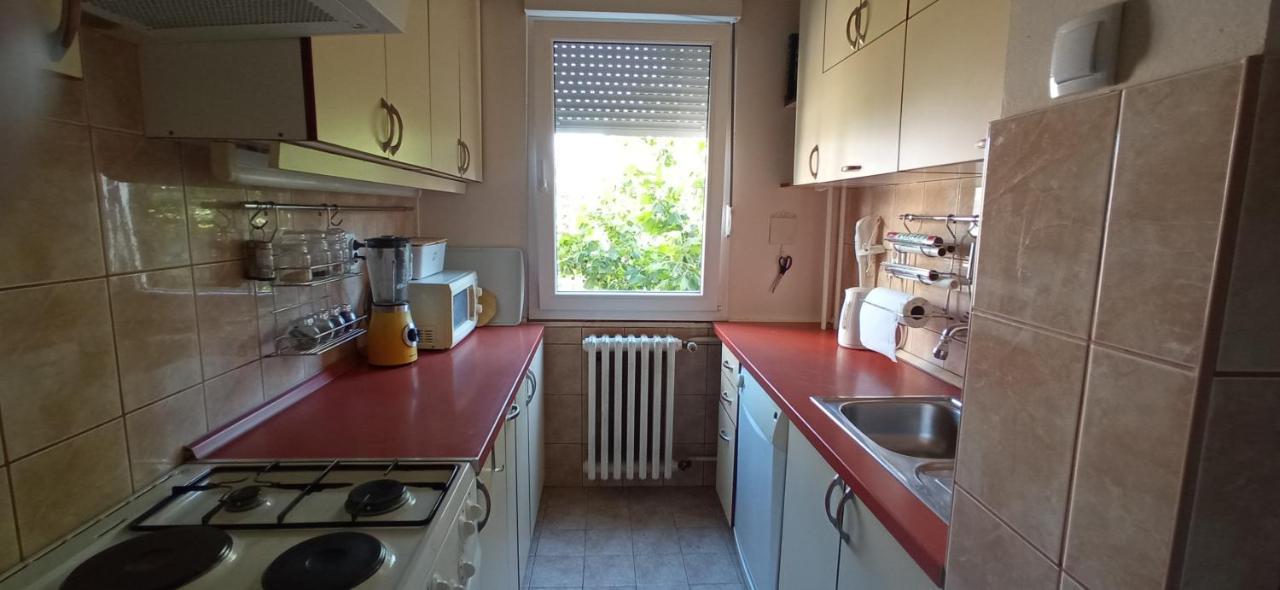 Branysol Apartman نوفي ساد المظهر الخارجي الصورة