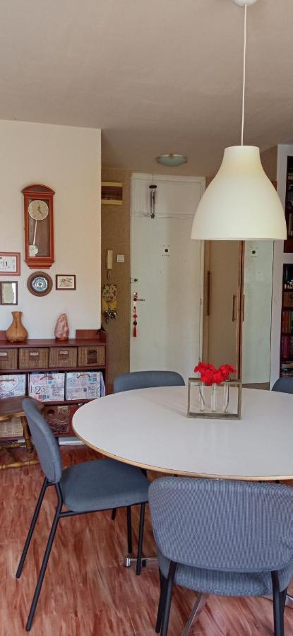 Branysol Apartman نوفي ساد المظهر الخارجي الصورة