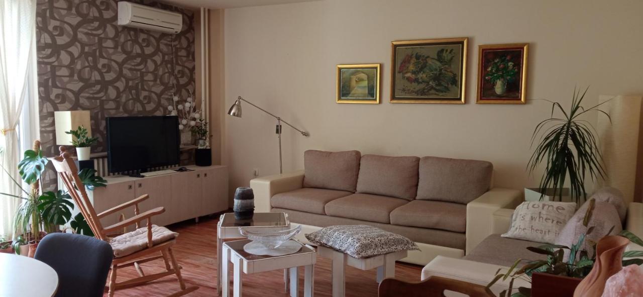 Branysol Apartman نوفي ساد المظهر الخارجي الصورة