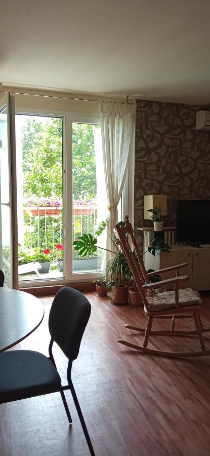 Branysol Apartman نوفي ساد المظهر الخارجي الصورة